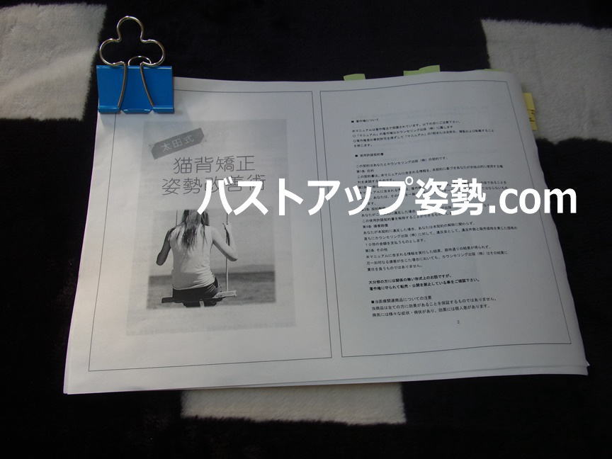 太田式 猫背矯正・姿勢改善術を印刷した際の画像